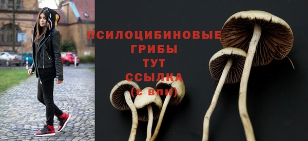 прущие крисы Белокуриха